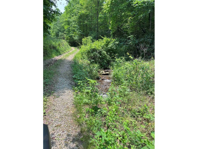Opportunity Knocks to own this 88.41 acre parcel close to - photo 3
