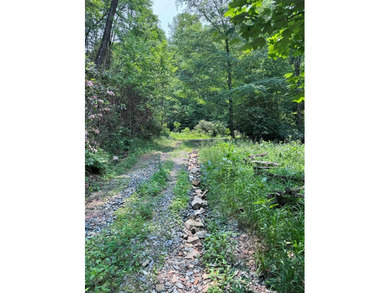 Opportunity Knocks to own this 88.41 acre parcel close to - photo 4