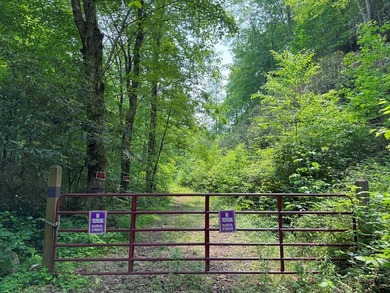 Opportunity Knocks to own this 88.41 acre parcel close to - photo 5