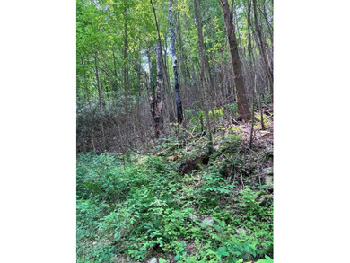 Opportunity Knocks to own this 88.41 acre parcel close to - photo 6