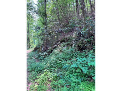 Opportunity Knocks to own this 88.41 acre parcel close to - photo 7