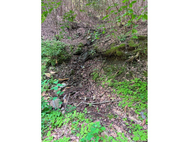 Opportunity Knocks to own this 88.41 acre parcel close to - photo 8