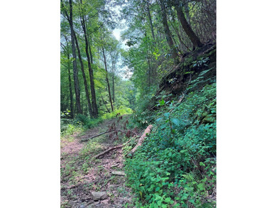 Opportunity Knocks to own this 88.41 acre parcel close to - photo 9