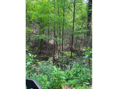 Opportunity Knocks to own this 88.41 acre parcel close to - photo 10