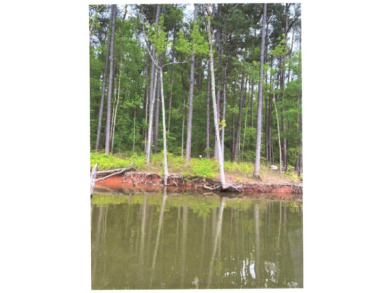Lot 4 of 3.410 acres - photo 5