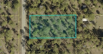 Lehigh Acres Area Lot For Sale in Lehigh Acres Florida