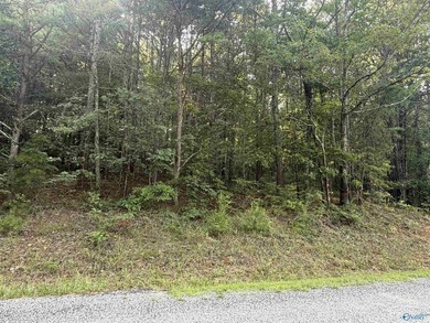 Welcome to this inviting beautiful building lot ready for your - photo 1
