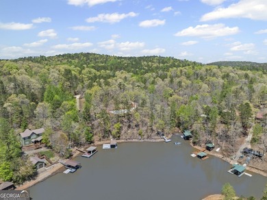 CHARMING LAKE HOUSE WITH GUEST SUITE | REMODELED IN 2023 | YEAR - photo 43