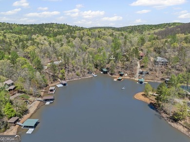 CHARMING LAKE HOUSE WITH GUEST SUITE | REMODELED IN 2023 | YEAR - photo 46