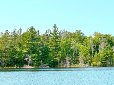 Lake Acreage Sale Pending in Eckerman, Michigan