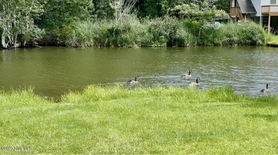 Yeopim River / Bethel Creek  Lot Active Under Contract in Hertford North Carolina