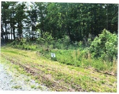 Lot 4 of 3.410 acres - photo 4