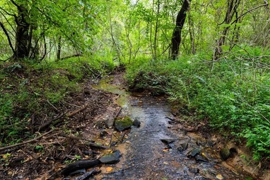 Carters Lake Acreage For Sale in Ellijay Georgia