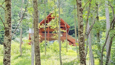 Captivating & decidedly unique log property, set amidst the - photo 2