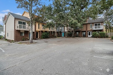 Experience a relaxed coastal lifestyle in this fully furnished - photo 1