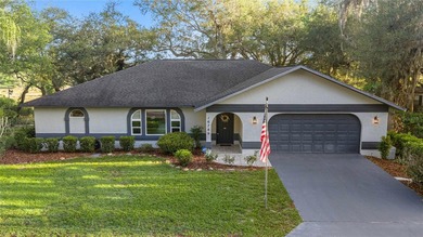 Halford Lake Home Sale Pending in Ocklawaha Florida