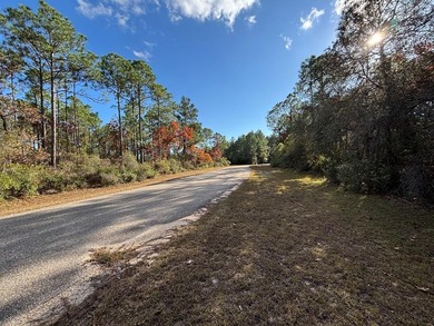 New River Lot For Sale in Carabelle Florida