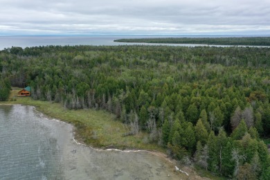 Stunning 420+feet of sandy bottom Lake Huron waterfront lot - photo 2