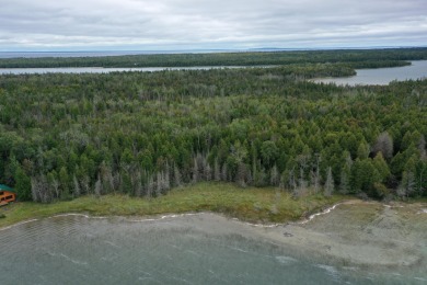 Stunning 420+feet of sandy bottom Lake Huron waterfront lot - photo 3