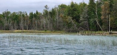 Stunning 420+feet of sandy bottom Lake Huron waterfront lot - photo 4