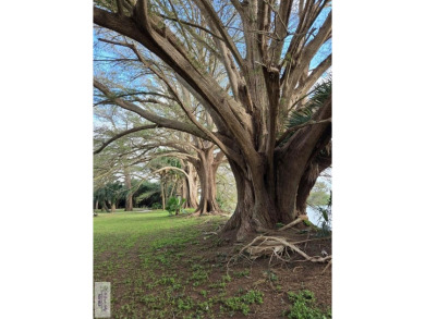 Peace of mind: This property stayed HIGH & DRY during the March - photo 44