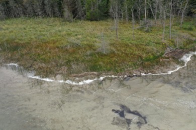 Stunning 420+feet of sandy bottom Lake Huron waterfront lot - photo 5