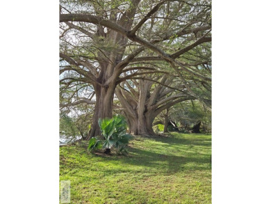 Peace of mind: This property stayed HIGH & DRY during the March - photo 45