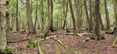 Stunning 420+feet of sandy bottom Lake Huron waterfront lot - photo 6