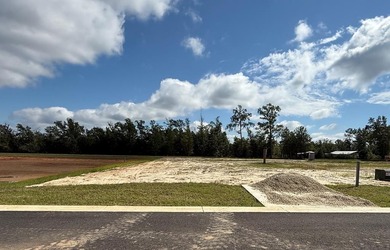 Dead Lake Lot For Sale in Wewahitchka Florida