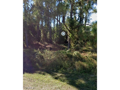 Lehigh Acres Area Lot For Sale in Lehigh Acres Florida