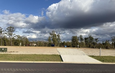 Dead Lake Lot For Sale in Wewahitchka Florida