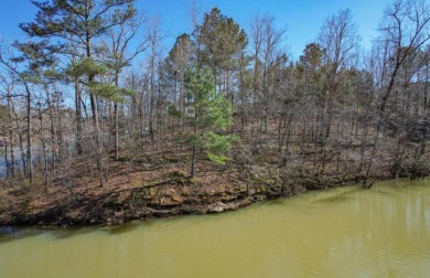  Lot For Sale in Houston Alabama