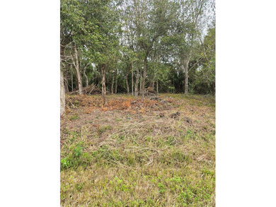 Lake Okeechobee Lot For Sale in Okeechobee Florida