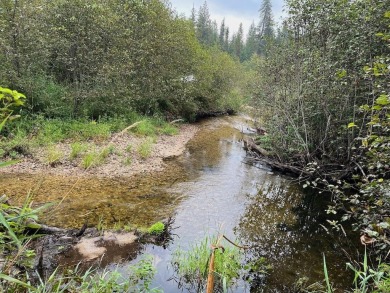 Lake Acreage For Sale in Cusick, Washington