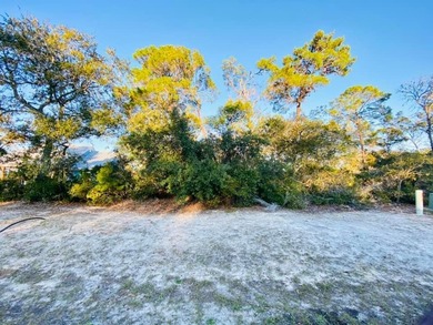 Flood Zone X! Don't miss your chance to snag this lot!! Located - photo 3