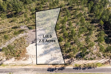 Welcome to Appling, Georgia's premier new luxury community! This - photo 1