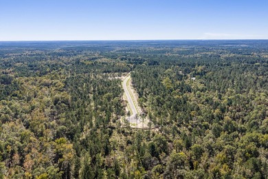 Welcome to Appling, Georgia's premier new luxury community! This - photo 4