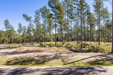 Welcome to Appling, Georgia's premier new luxury community! This - photo 5