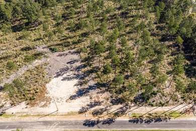 Welcome to Appling, Georgia's premier new luxury community! This - photo 6