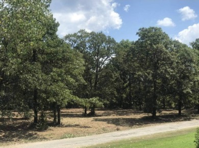 Beautiful Lakefront Property - photo 1