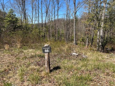 Tuckaseegee River Lot For Sale in Cullowhee North Carolina