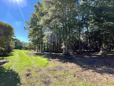 Great Location to build with NO HOA fees!! Great Lot to build - photo 5