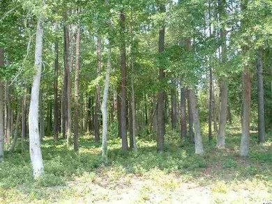 Great Location to build with NO HOA fees!! Great Lot to build - photo 6