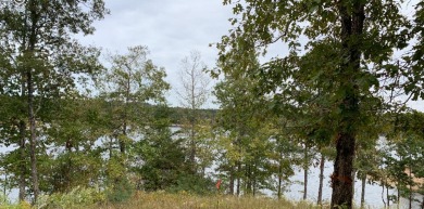  Lot For Sale in Double Springs Alabama