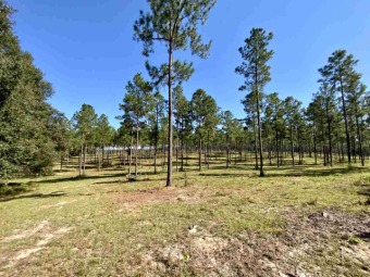 (private lake) Acreage For Sale in Madison County Florida