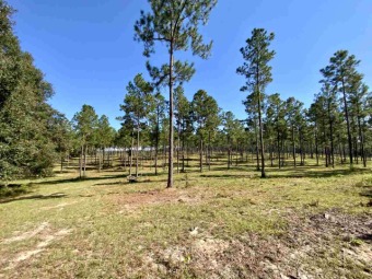 Lake Acreage Off Market in Madison County, Florida