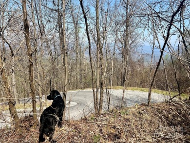 (private lake, pond, coastal) Acreage For Sale in Old Fort North Carolina