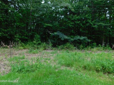 Yeopim River Lot For Sale in Hertford North Carolina