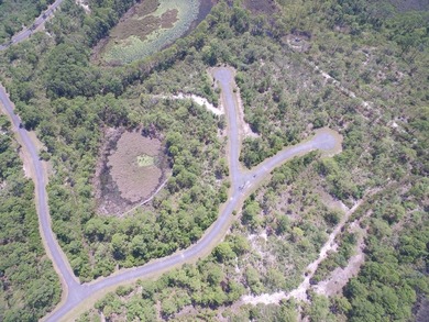 The Refuge at Panacea offers premier lots in a private, gated - photo 5