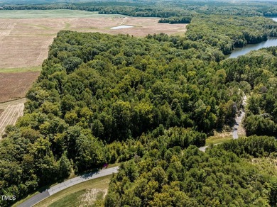 Discover 17.03 acres at Mayo Lake in the peaceful Mount Mayo - photo 4